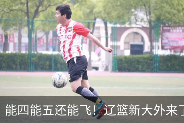能四能五还能飞！辽篮新大外来了，比莫兰德更适配，乌戈捡到宝了
